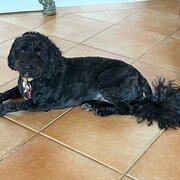 Marmion, Western Australia, Australia