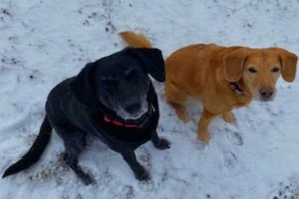 Haywards Heath, England, United Kingdom