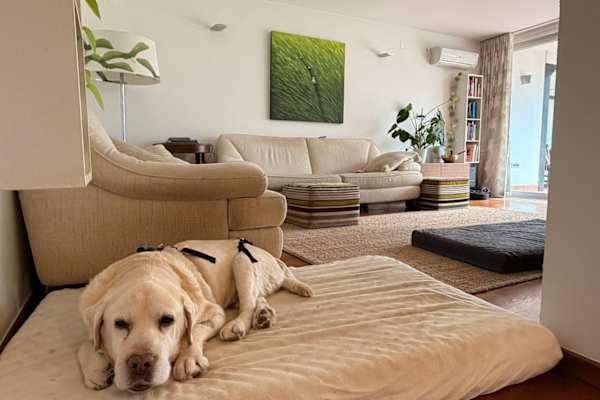 Ljubljana, Ljubljana, Slovenia