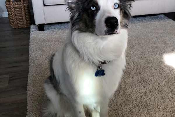 Grand Junction, Colorado, United States