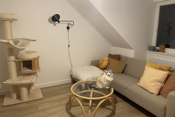 Hamburg, Hamburg, Germany