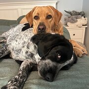 Padbury, Western Australia, Australia