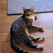 Sunbury, Victoria, Australia