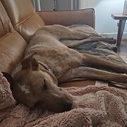 Malanda, Queensland, Australia