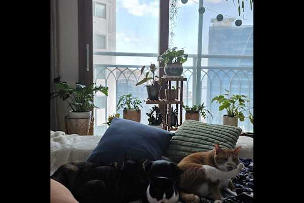 Gohyeon, Gyeonggi-do, South Korea