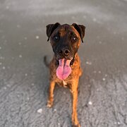 Bowen, Qld, Queensland, Australia