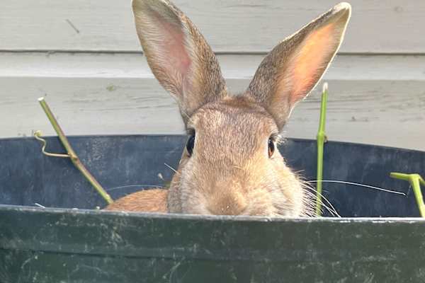 East Grinstead, England, United Kingdom