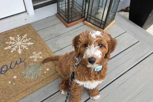 Salt Lake City, Utah, United States