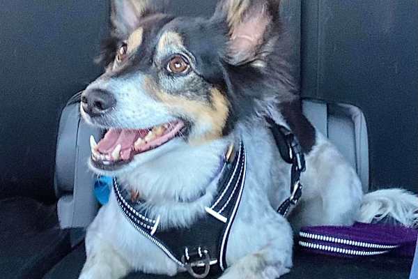 Taos, New Mexico, United States