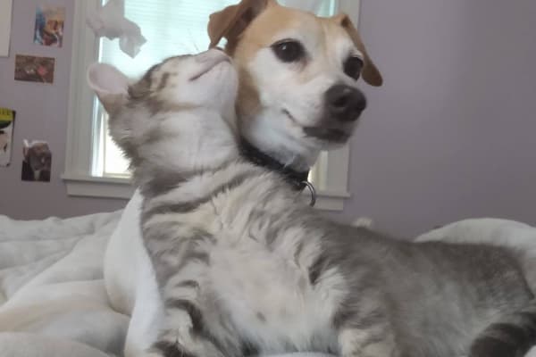 Portland, Maine, United States