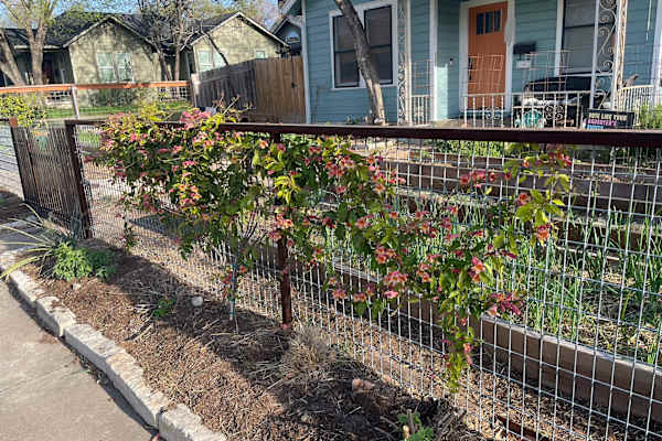 Austin, Texas, United States