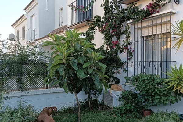 Umbrete,Andalusia,Spain