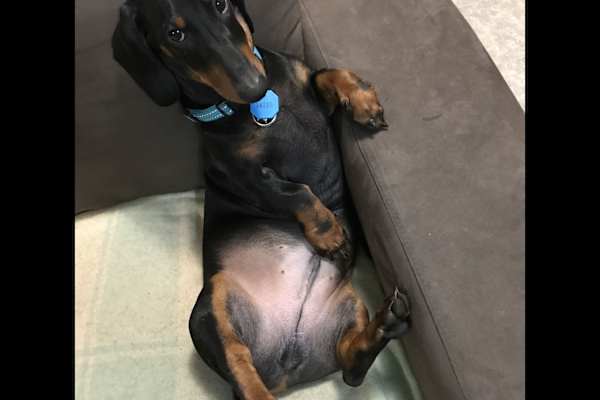 Townsville, Queensland, Australia