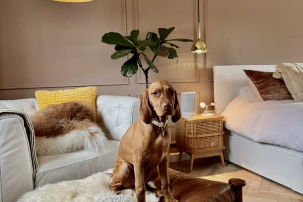 Oxford, England, United Kingdom