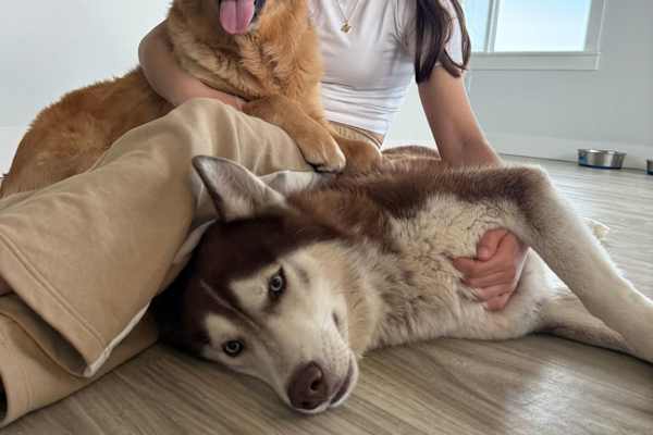 South Jordan, Utah, United States