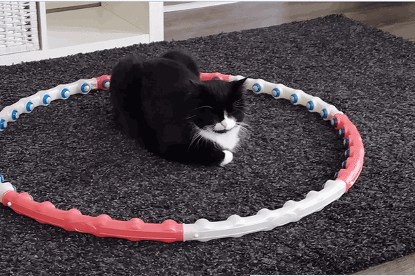 Niederau, Tyrol, Austria