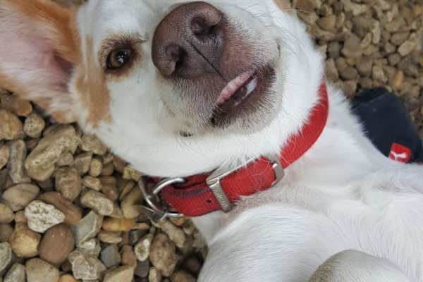 Newport, England, United Kingdom