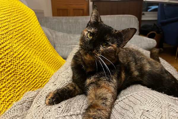 London, England, United Kingdom