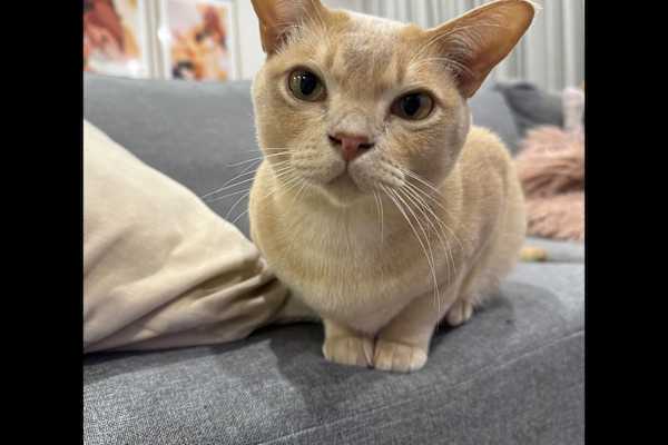 Melbourne, Victoria, Australia