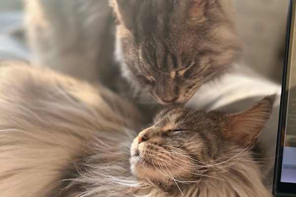 York, England, United Kingdom