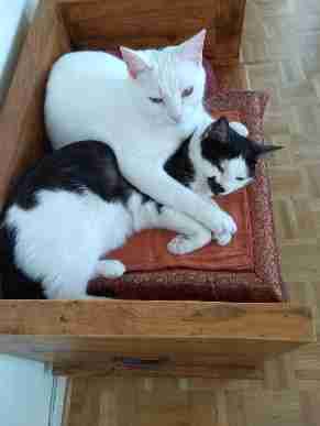 inner city, Berlin, Berlin, Berlin Germany