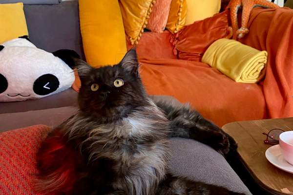 Potsdam, Brandenburg, Germany