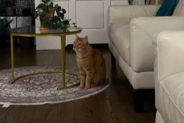 New York City, New York, United States