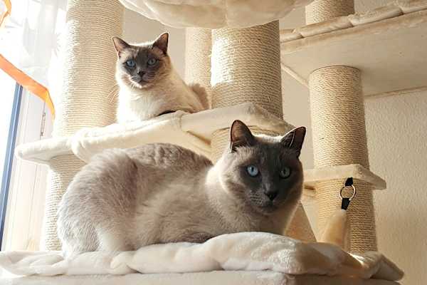 Hamburg, Hamburg, Germany