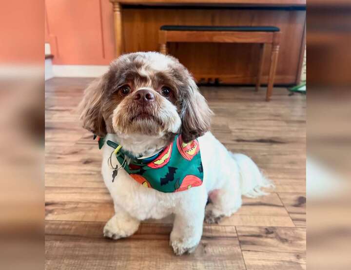 Tiranë, Tirana County, Albania