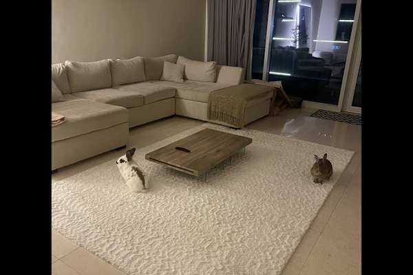 Dubai, Dubai, United Arab Emirates