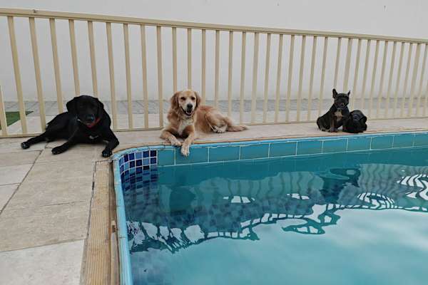 Ras al-Khaimah, Ra's al Khaymah, United Arab Emirates