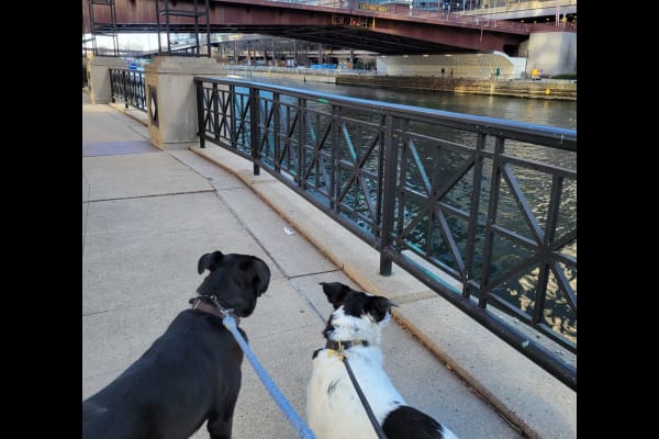 Chicago, Illinois, United States