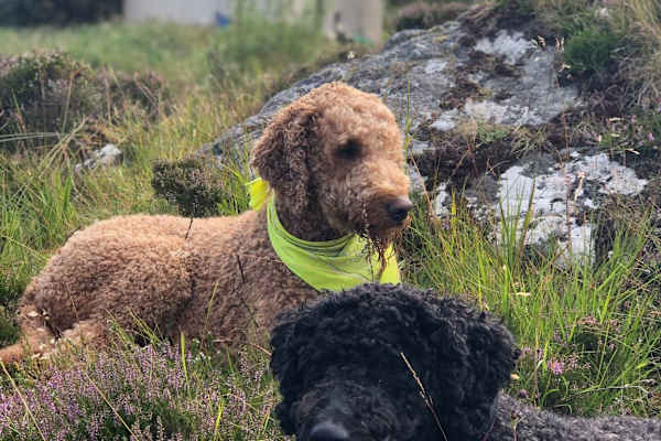 Belvedere, England, United Kingdom