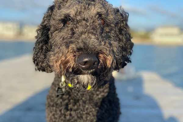 Minneapolis, Minnesota, United States