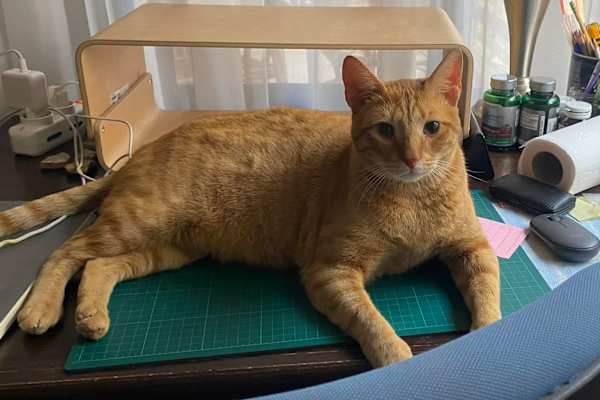 Cairo, Muhafazat al Qahirah, Egypt