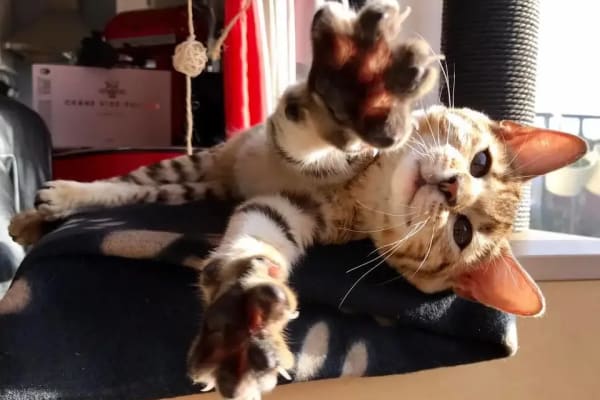 Hove, England, United Kingdom