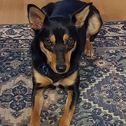 Eltham, Victoria, Australia