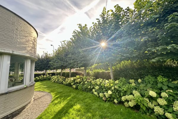 Brussels, Brussels Capital, Belgium