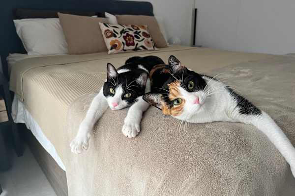 Barcelona, Catalonia, Spain