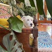 Warrandyte, Victoria, Australia