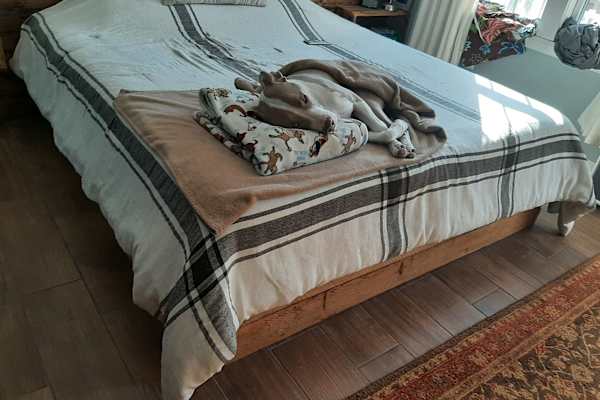 Damariscotta, Maine, United States