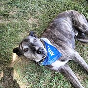 Derwent Park, Tasmania, Australia