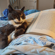 Coburg, Victoria, Australia