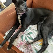 Ferny Hills, Queensland, Australia