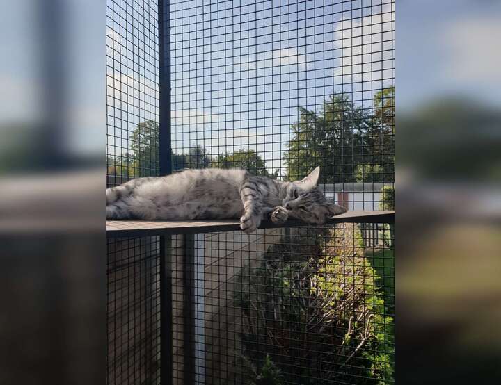 Antwerp, Antwerp, Flanders, Belgium