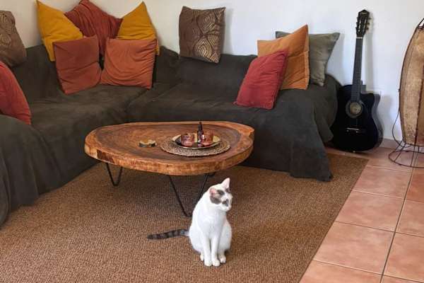 Cabarete, Puerto Plata, Dominican Republic