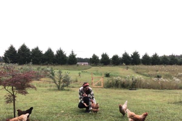 Soddy-Daisy, Tennessee, United States