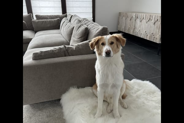 Salt Lake City, Utah, United States