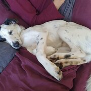 Ipswich, Queensland, Australia