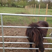 Felin Fach, Wales, UK
